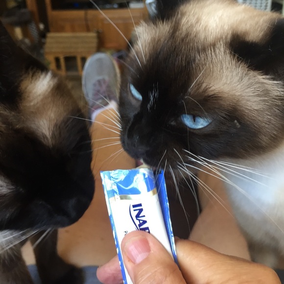 Meet your Posher, Catherine - Picture 4 of 10